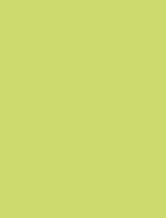 Figurita verde